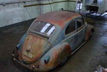 fusca-rat