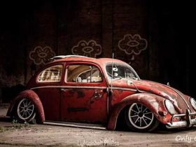 fusca-ratao