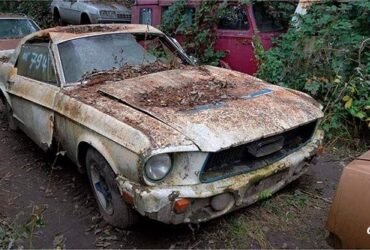 mustang-abandonado