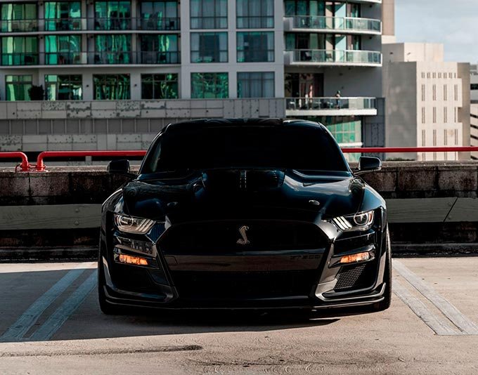 mustang-shelby-gt500