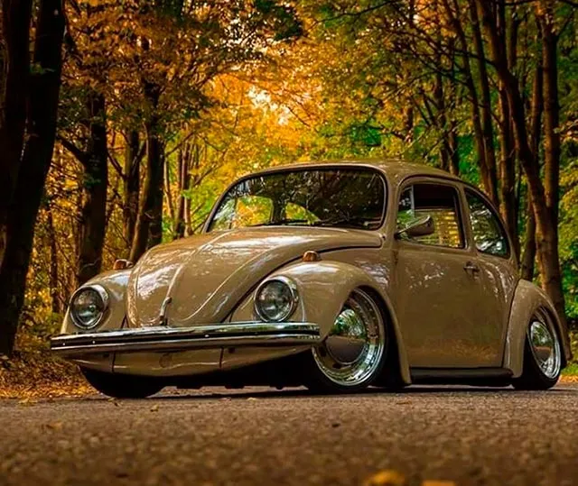 fusca-rebaixado-bege