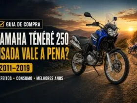 Yamaha Ténéré 250 usada vale a pena? Guia com defeitos, consumo e melhores anos de 2011 a 2019